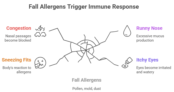 understanding fall allergies