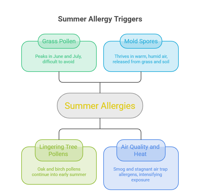 Summer Cold vs Allergies