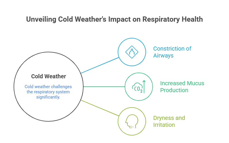 Connection Between Cold Weather and Respiratory Issues