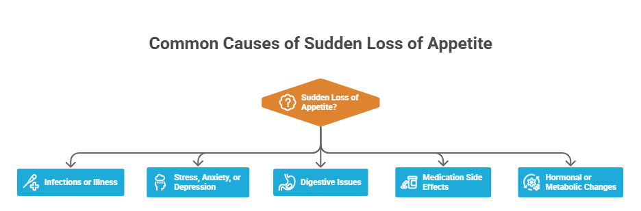 Sudden Loss of Appetite - Causes