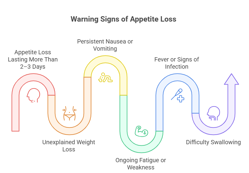 Sudden Loss of Appetite_ Warning Signs
