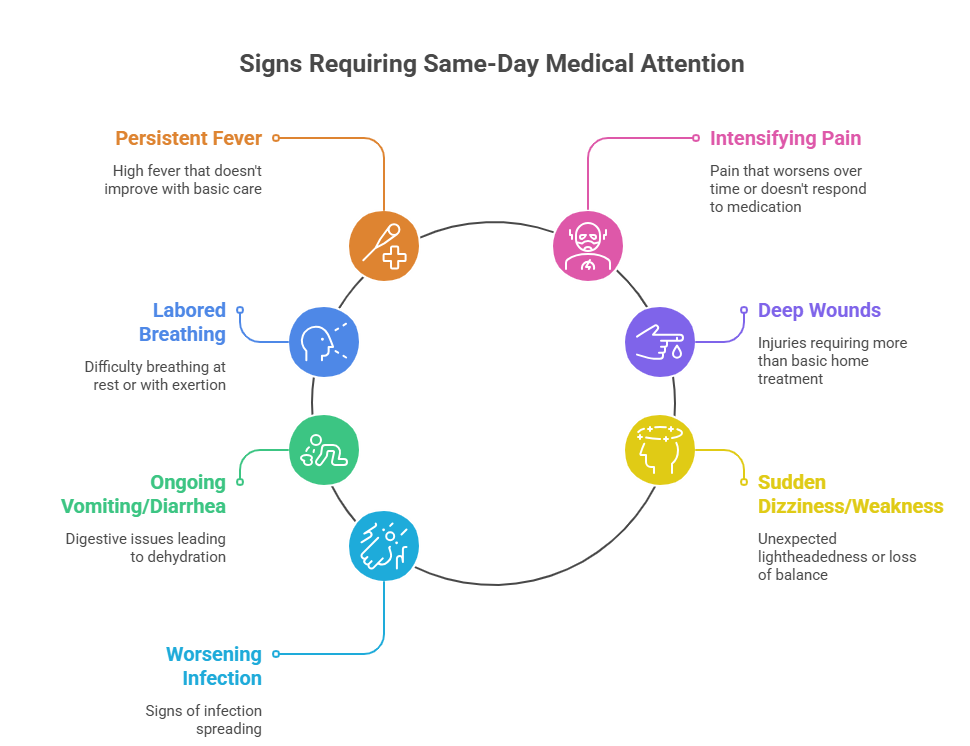 7 Signs You Need Same-Day Medical Care